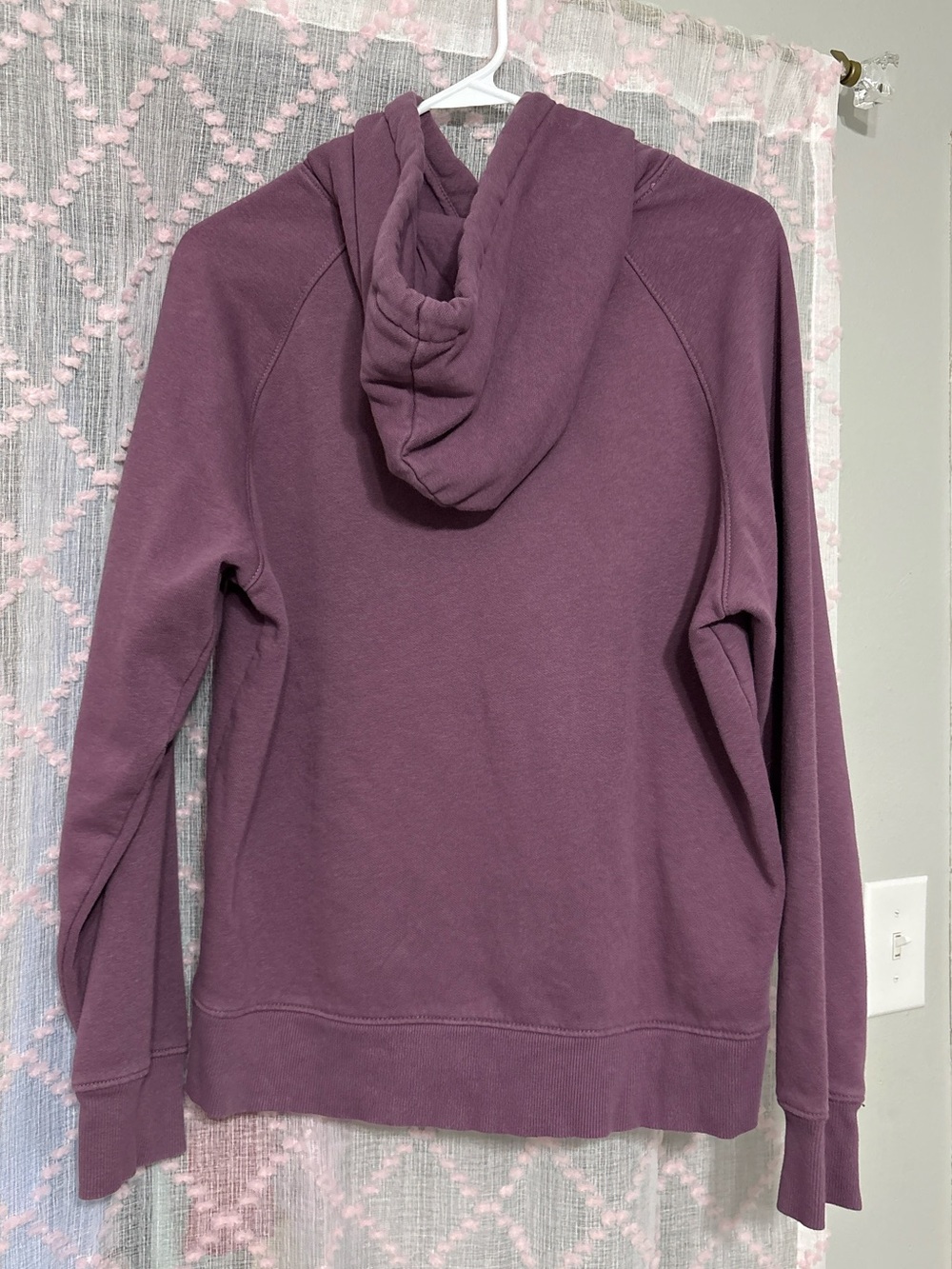 The North Face Women's Plum Hooded Pullover Sweatshirt